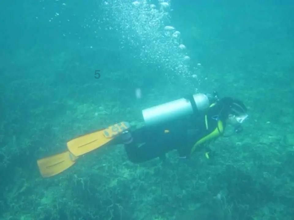 黑龙江大学法学专业录取分数线