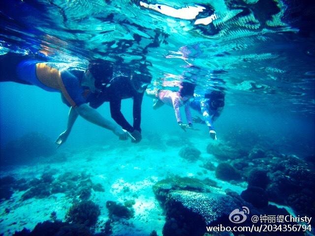热歌辣舞蒙面秀,这是谁的创意?